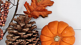 fall leaf, pumpkin and pinecone